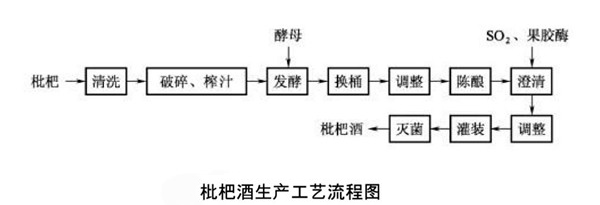 枇杷酒消费工艺流程图 枇杷酒消费工艺流程图